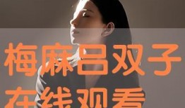 梅麻吕在线观看视频,穿越时空的日本风情传奇